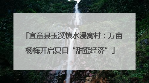 宜章县玉溪镇水浸窝村：万亩杨梅开启夏日“甜蜜经济”