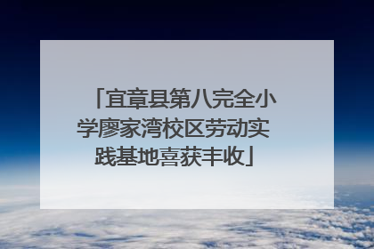 宜章县第八完全小学廖家湾校区劳动实践基地喜获丰收