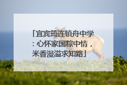 宜宾筠连镇舟中学：心怀家国粽中情，米香漫溢求知路