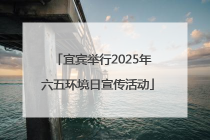 宜宾举行2025年六五环境日宣传活动