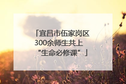 宜昌市伍家岗区300余师生共上“生命必修课”