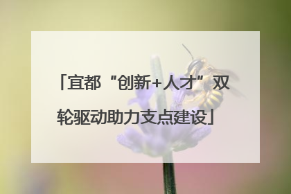 宜都“创新+人才”双轮驱动助力支点建设