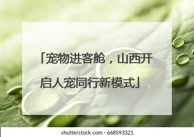宠物进客舱，山西开启人宠同行新模式