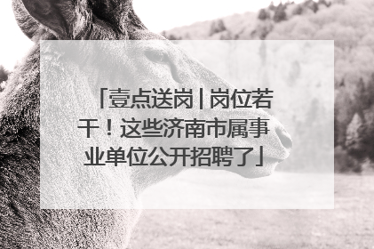 壹点送岗│岗位若干！这些济南市属事业单位公开招聘了