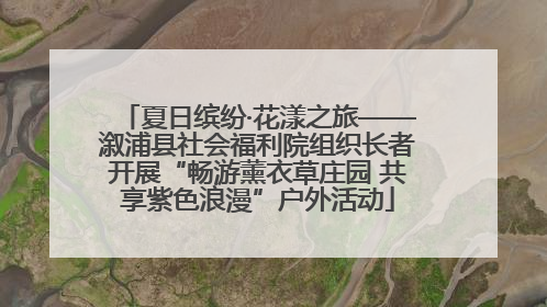 夏日缤纷·花漾之旅——溆浦县社会福利院组织长者开展“畅游薰衣草庄园 共享紫色浪漫”户外活动