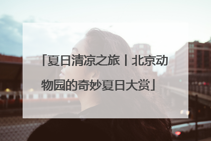 夏日清凉之旅丨北京动物园的奇妙夏日大赏