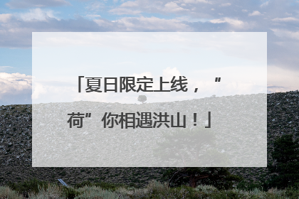 夏日限定上线，“荷”你相遇洪山！