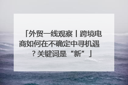 外贸一线观察丨跨境电商如何在不确定中寻机遇？关键词是“新”