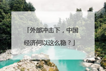 外部冲击下，中国经济何以这么稳？