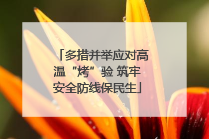 多措并举应对高温“烤”验 筑牢安全防线保民生