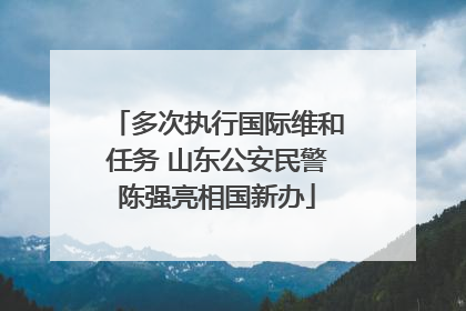 多次执行国际维和任务 山东公安民警陈强亮相国新办
