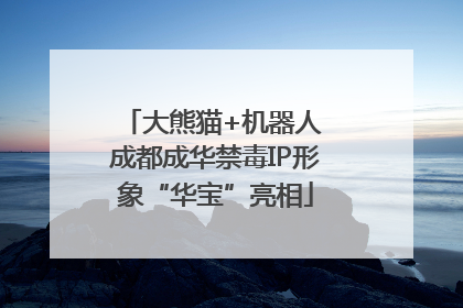 大熊猫+机器人 成都成华禁毒IP形象“华宝”亮相