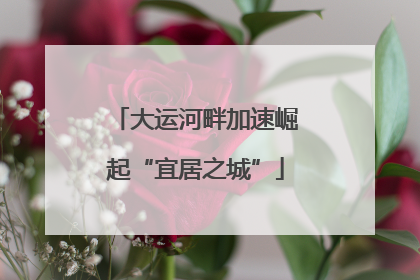 大运河畔加速崛起“宜居之城”