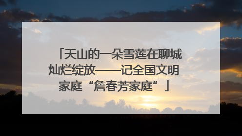 天山的一朵雪莲在聊城灿烂绽放——记全国文明家庭“詹春芳家庭”