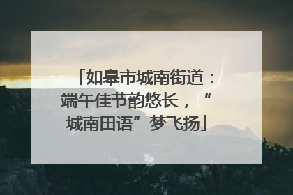 如皋市城南街道：端午佳节韵悠长，“城南田语”梦飞扬
