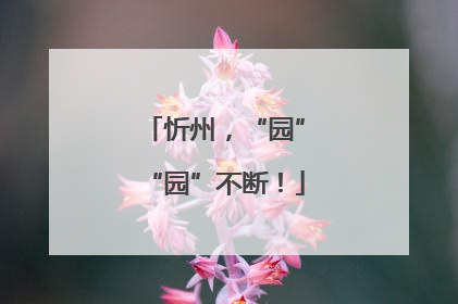 忻州，“园”“园”不断！
