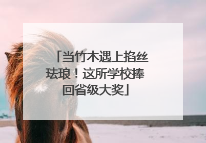 当竹木遇上掐丝珐琅！这所学校捧回省级大奖