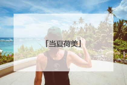 当夏荷美