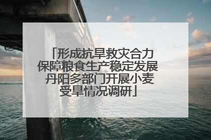 形成抗旱救灾合力 保障粮食生产稳定发展 丹阳多部门开展小麦受旱情况调研