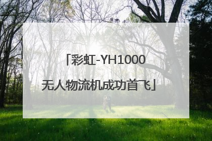 彩虹-YH1000无人物流机成功首飞