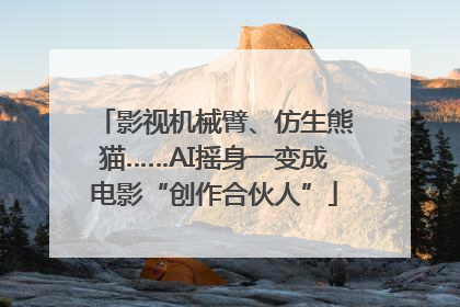影视机械臂、仿生熊猫……AI摇身一变成电影“创作合伙人”