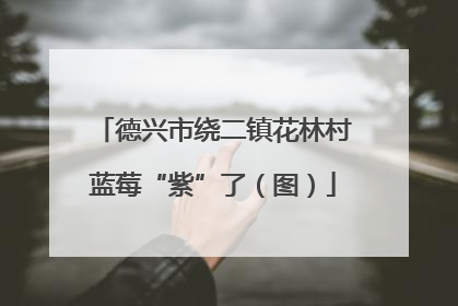 德兴市绕二镇花林村蓝莓“紫”了（图）