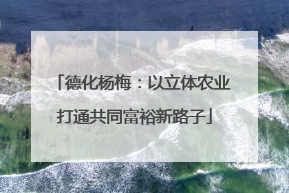德化杨梅：以立体农业打通共同富裕新路子