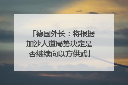 德国外长：将根据加沙人道局势决定是否继续向以方供武