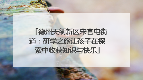 德州天衢新区宋官屯街道：研学之旅让孩子在探索中收获知识与快乐