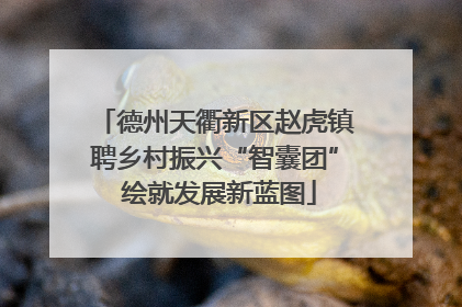 德州天衢新区赵虎镇聘乡村振兴“智囊团” 绘就发展新蓝图
