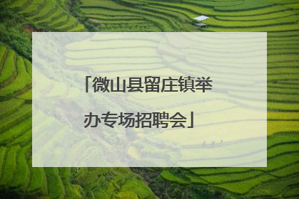 微山县留庄镇举办专场招聘会