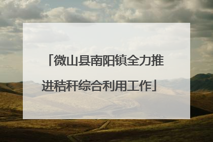 微山县南阳镇全力推进秸秆综合利用工作