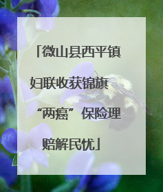 微山县西平镇妇联收获锦旗 “两癌”保险理赔解民忧