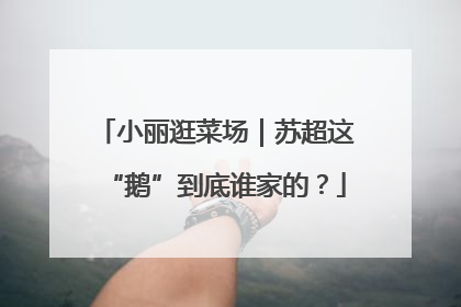 小丽逛菜场｜苏超这“鹅”到底谁家的？