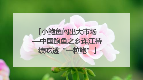 小鲍鱼闯出大市场——中国鲍鱼之乡连江持续吃透“一粒鲍”