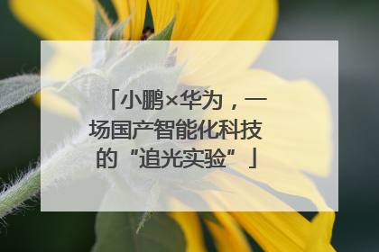 小鹏×华为，一场国产智能化科技的“追光实验”