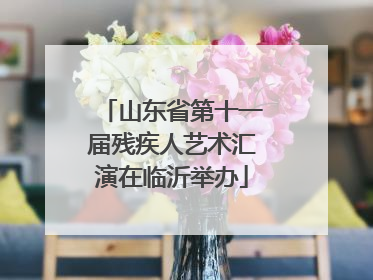 山东省第十一届残疾人艺术汇演在临沂举办