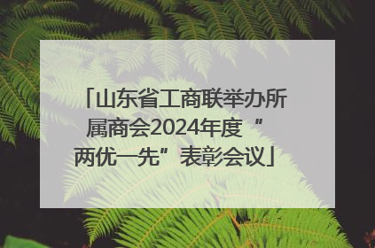 山东省工商联举办所属商会2024年度“两优一先”表彰会议