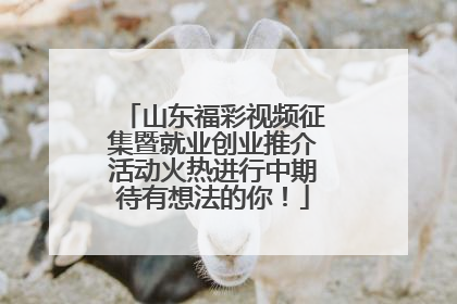 山东福彩视频征集暨就业创业推介活动火热进行中期待有想法的你！