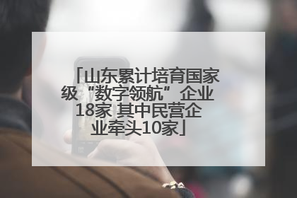 山东累计培育国家级“数字领航”企业18家 其中民营企业牵头10家