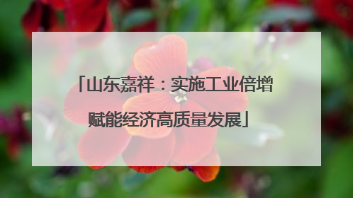 山东嘉祥：实施工业倍增 赋能经济高质量发展
