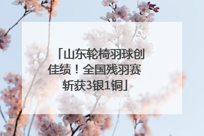 山东轮椅羽球创佳绩！全国残羽赛斩获3银1铜