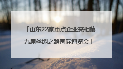 山东22家重点企业亮相第九届丝绸之路国际博览会