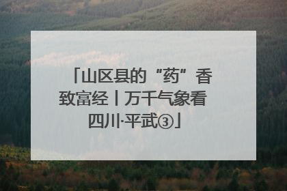山区县的“药”香致富经丨万千气象看四川·平武③