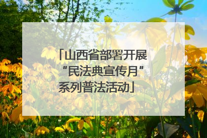 山西省部署开展“民法典宣传月”系列普法活动