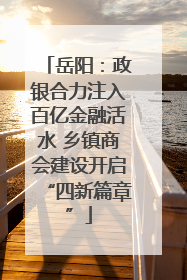岳阳：政银合力注入百亿金融活水 乡镇商会建设开启“四新篇章”