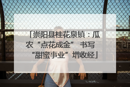 崇阳县桂花泉镇：瓜农“点花成金” 书写“甜蜜事业”增收经