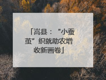 嵩县：“小蚕茧”织就助农增收新画卷