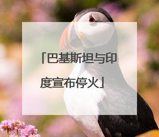 巴基斯坦与印度宣布停火
