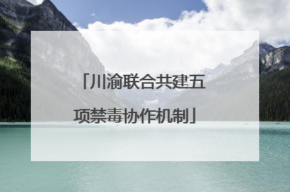川渝联合共建五项禁毒协作机制